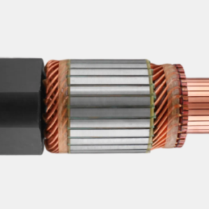 INDUZIDO DA PARTIDA KB PEQUENO MB SCANIA VOLVO 24V