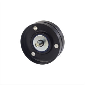 POLIA ALTERNADOR AUDI A3 VW FOX POLO